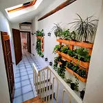 The Roof Top Loft
